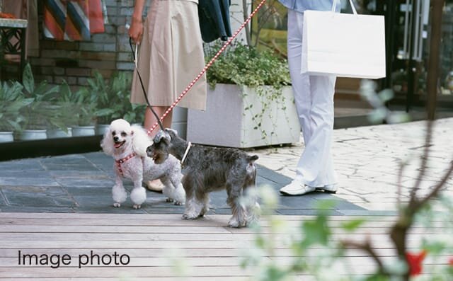 ペットと暮らせるマンション