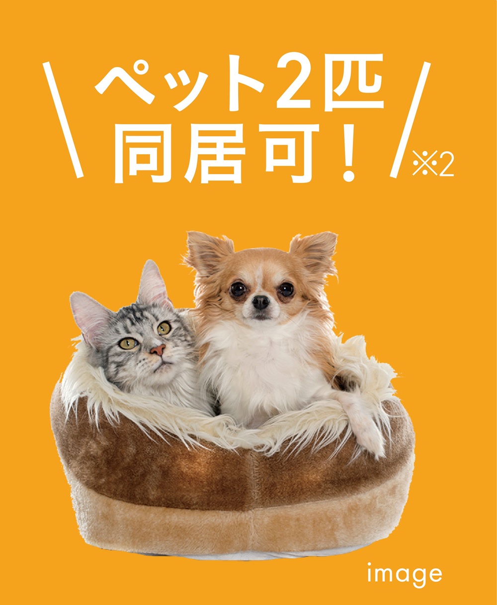 大切な家族の一員である、ペットと一緒に暮らせます。