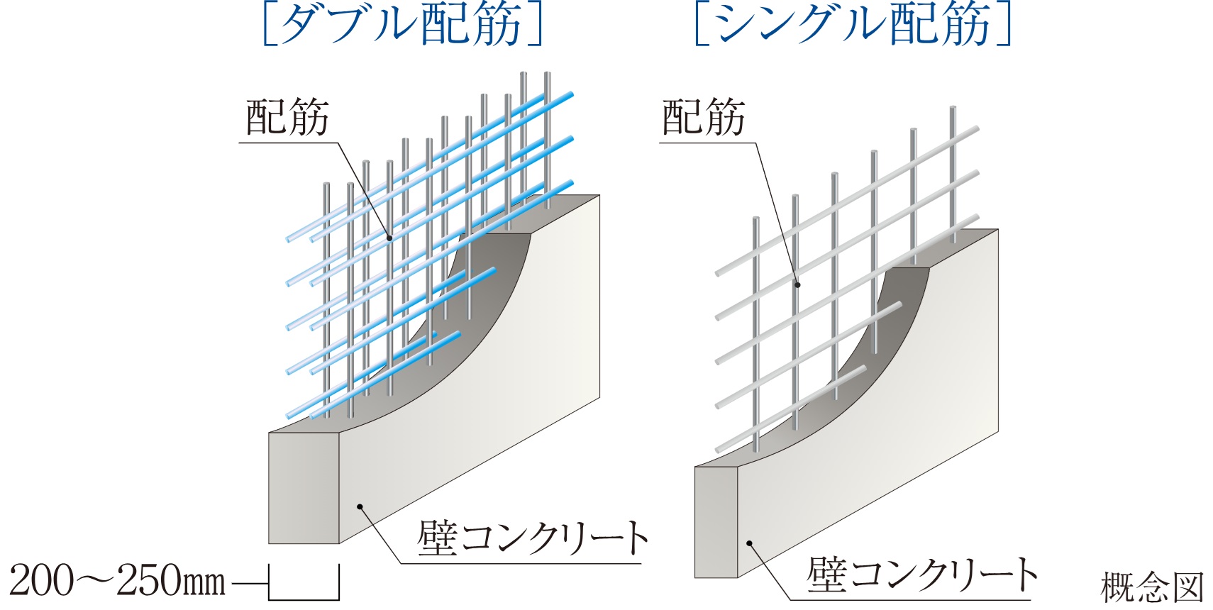 耐力壁（戸境壁）・ダブル配筋
