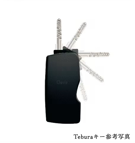 Tebraキー