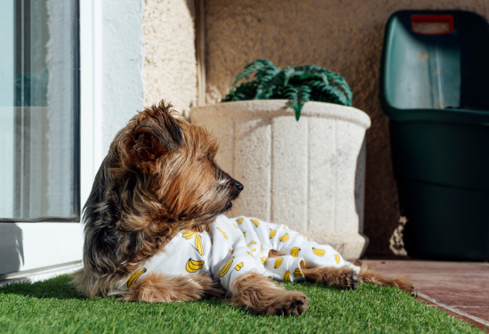 2mのバルコニー