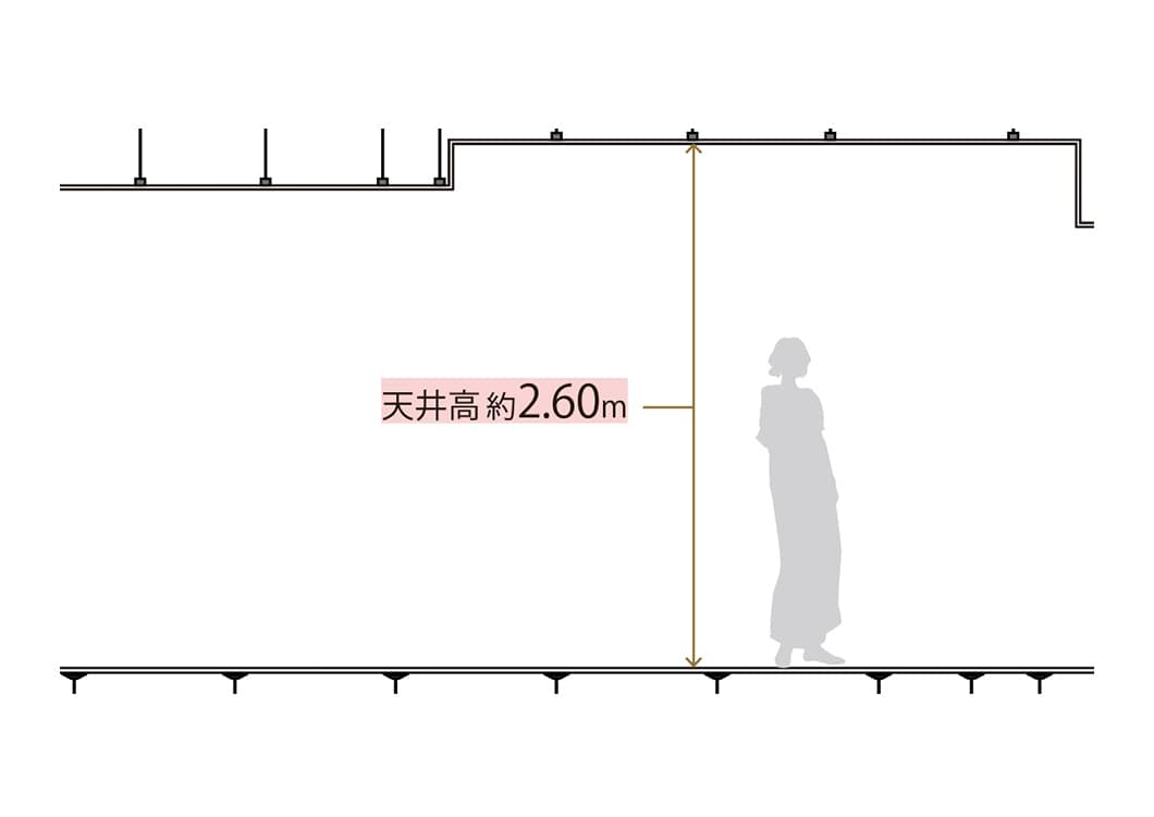 ゆとりの空間設計 LD天井高約2.6m