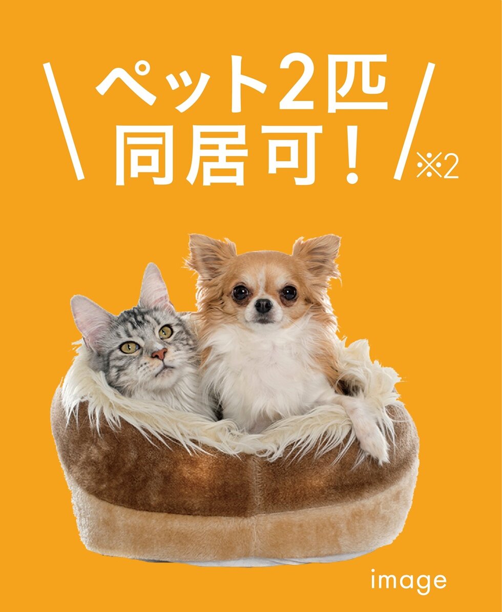 大切な家族の一員である、ペットと一緒に暮らせます。