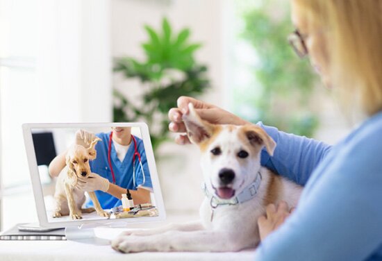 見守りカメラとオンライン診療