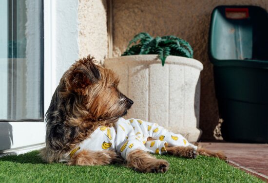 2mのバルコニー