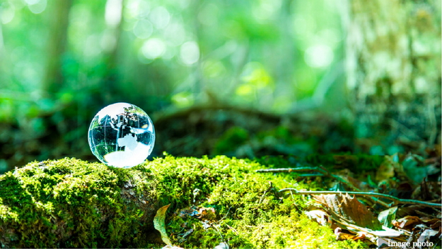 低炭素建築物（認定取得予定）