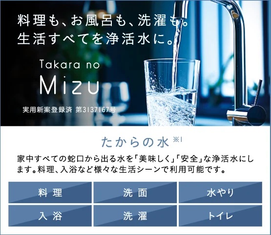 たからの水
