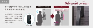 Tebra cell connect