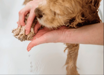 ペットの足やアウトドア用品も
洗える可動式マルチシンク