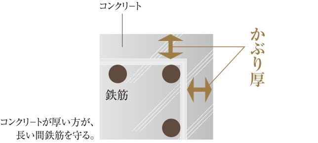 かぶり厚