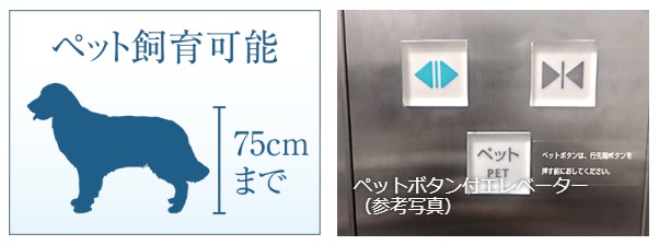 共用部にペット足洗い場やペット対応エレベーターを採用