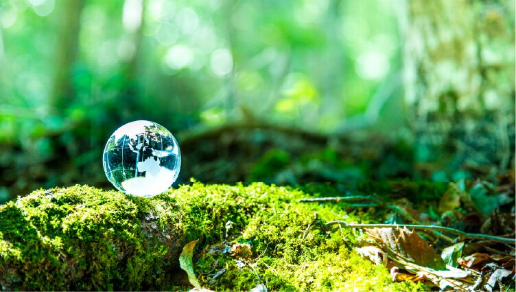 低炭素建築物認定取得（予定）