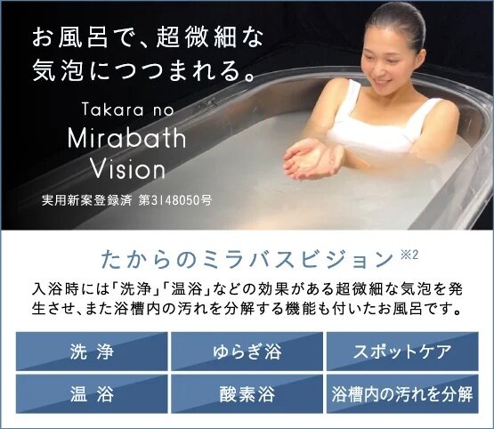 たからのミラバスビジョン