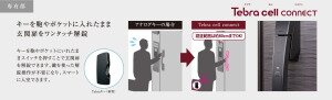 Tebra cell connect