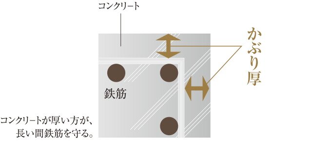 かぶり厚