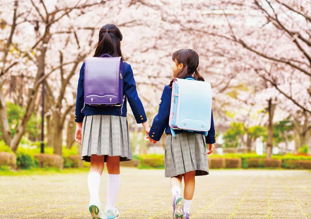 歩車分離設計採用