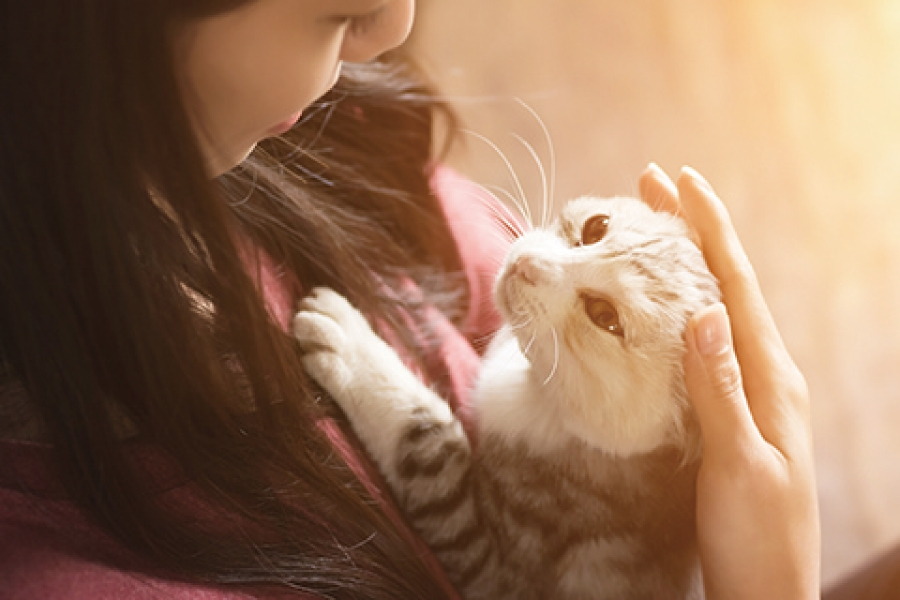 ペット飼育可･足洗い場