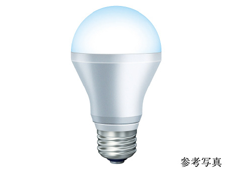 LED照明