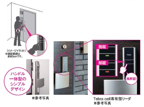 Tebra cell