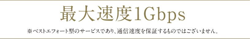 高速インターネットサービス