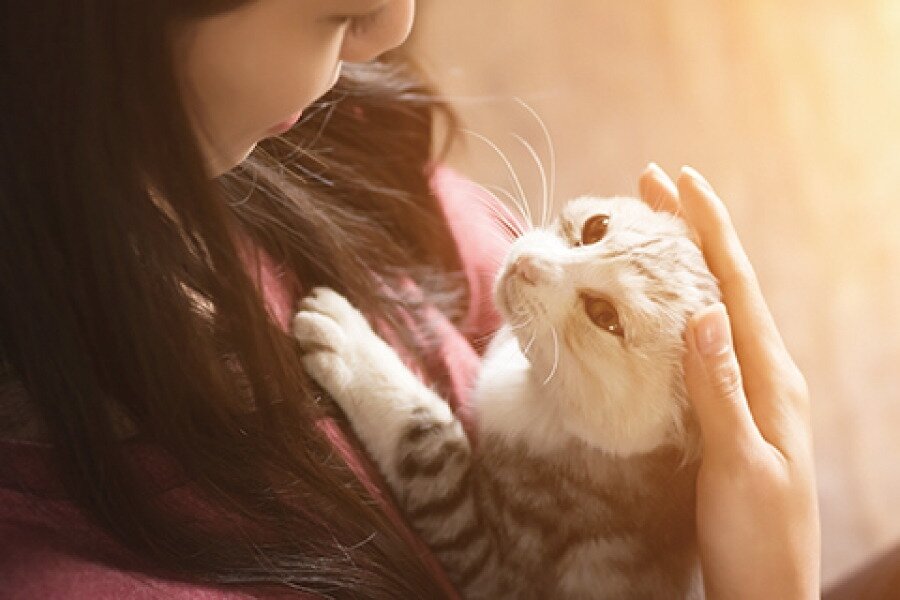 ペット飼育可･足洗い場