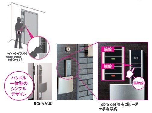Tebra cell