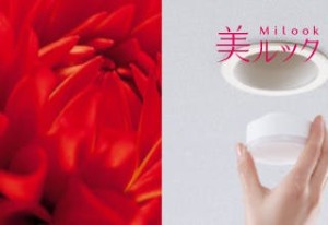 美ルック