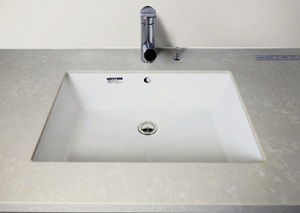 洗面ボウル（フィオレストーン天板）