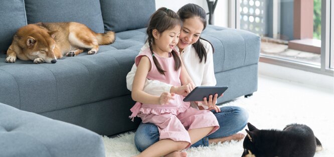 インターネットオプションサービス