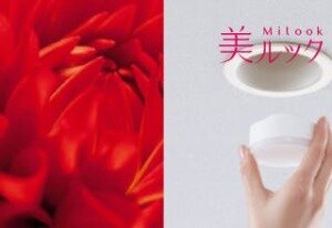 美ルック