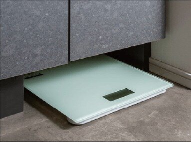 ヘルスメーター