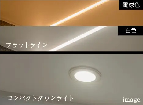 天井照明セレクト
＜ C1・C2・Dタイプ 特別仕様 ＞
