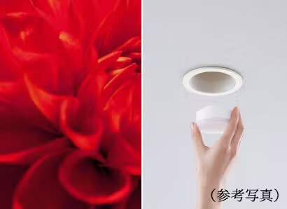 美ルック