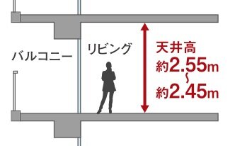 天井高約2.45m以上の開放感