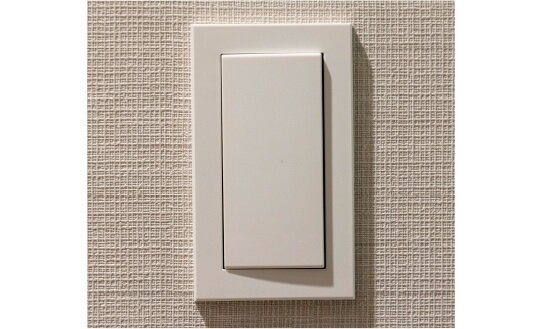 ワイドスイッチ