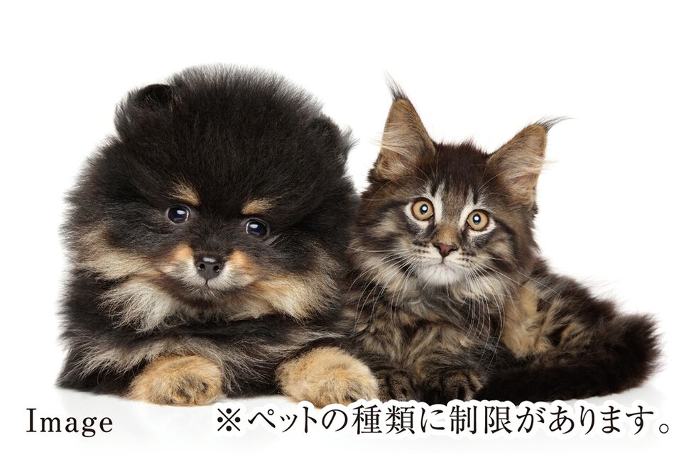 ペット飼育可能マンション