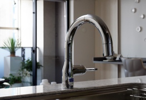 浄水器一体型シャワー水栓