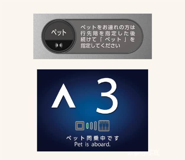 ペット対応
エレベーターシステム
