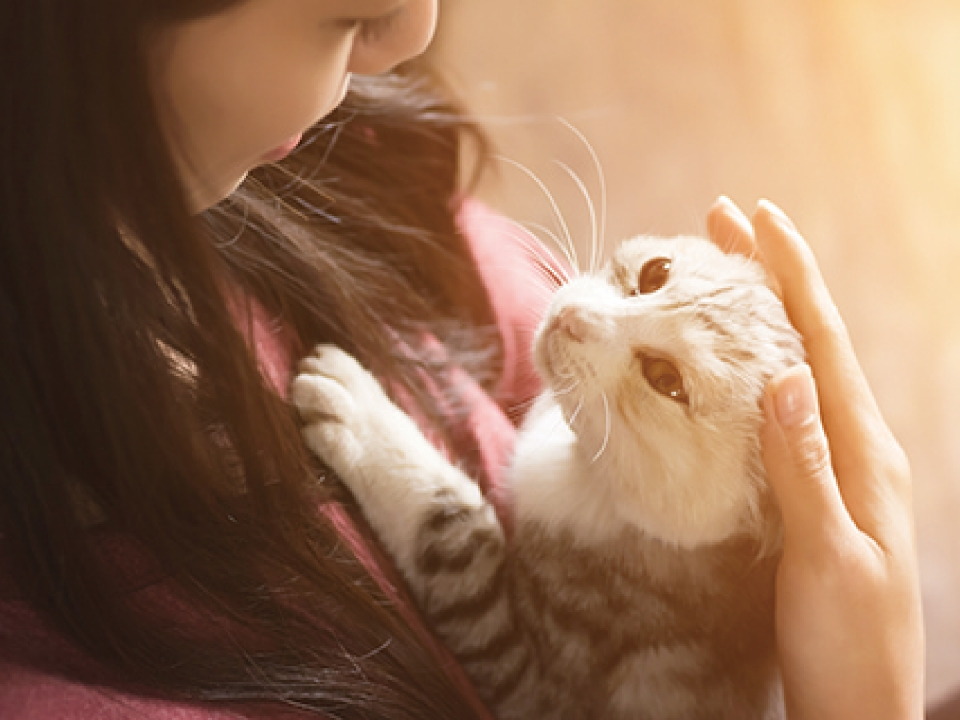 ペット飼育可･足洗い場