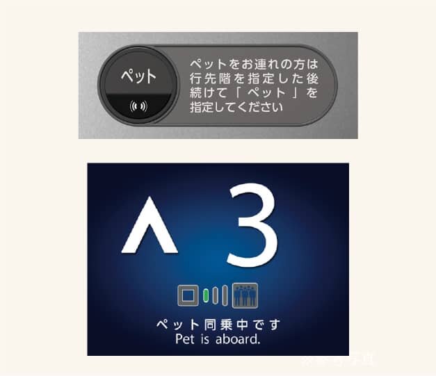 ペット対応
エレベーターシステム