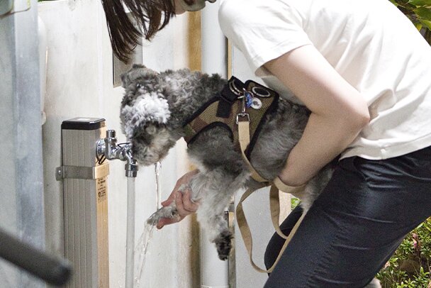 ペット足洗い場