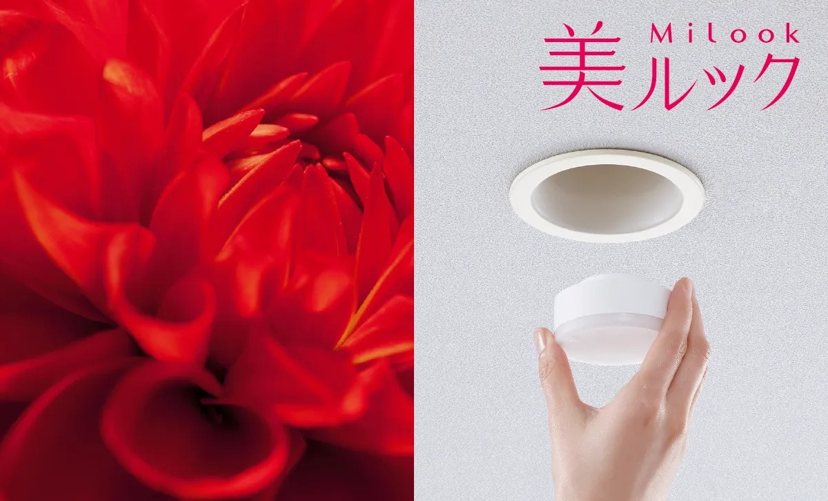 美ルック