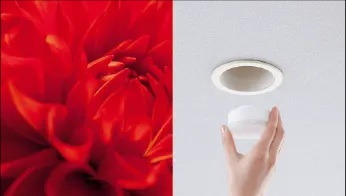 美ルック
