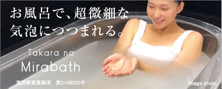 たからのミラバス ※2