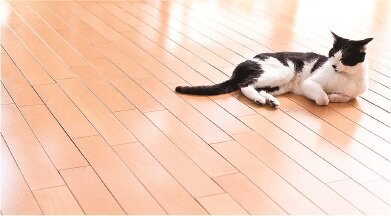 温水式床暖房