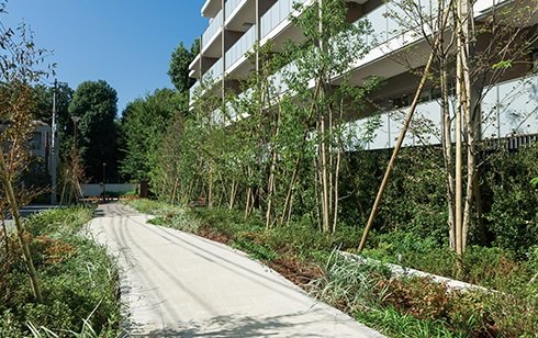 南側外観と万葉の路