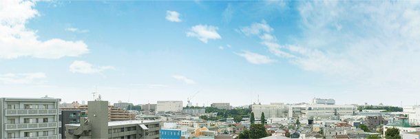 現地8階相当の高さより南方面を望む