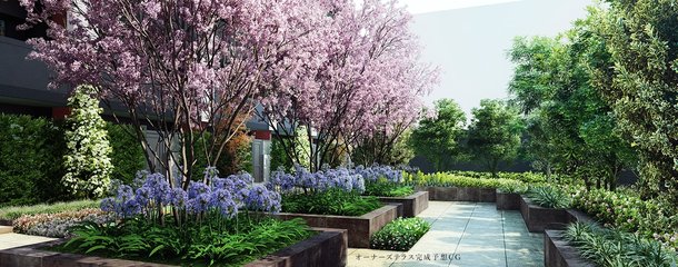 オーナーズテラス完成予想CG