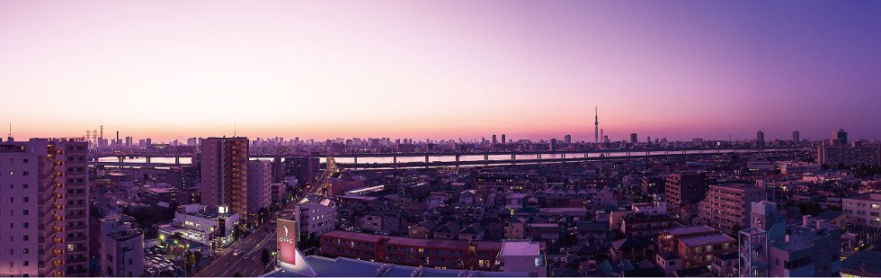 EVENING VIEW