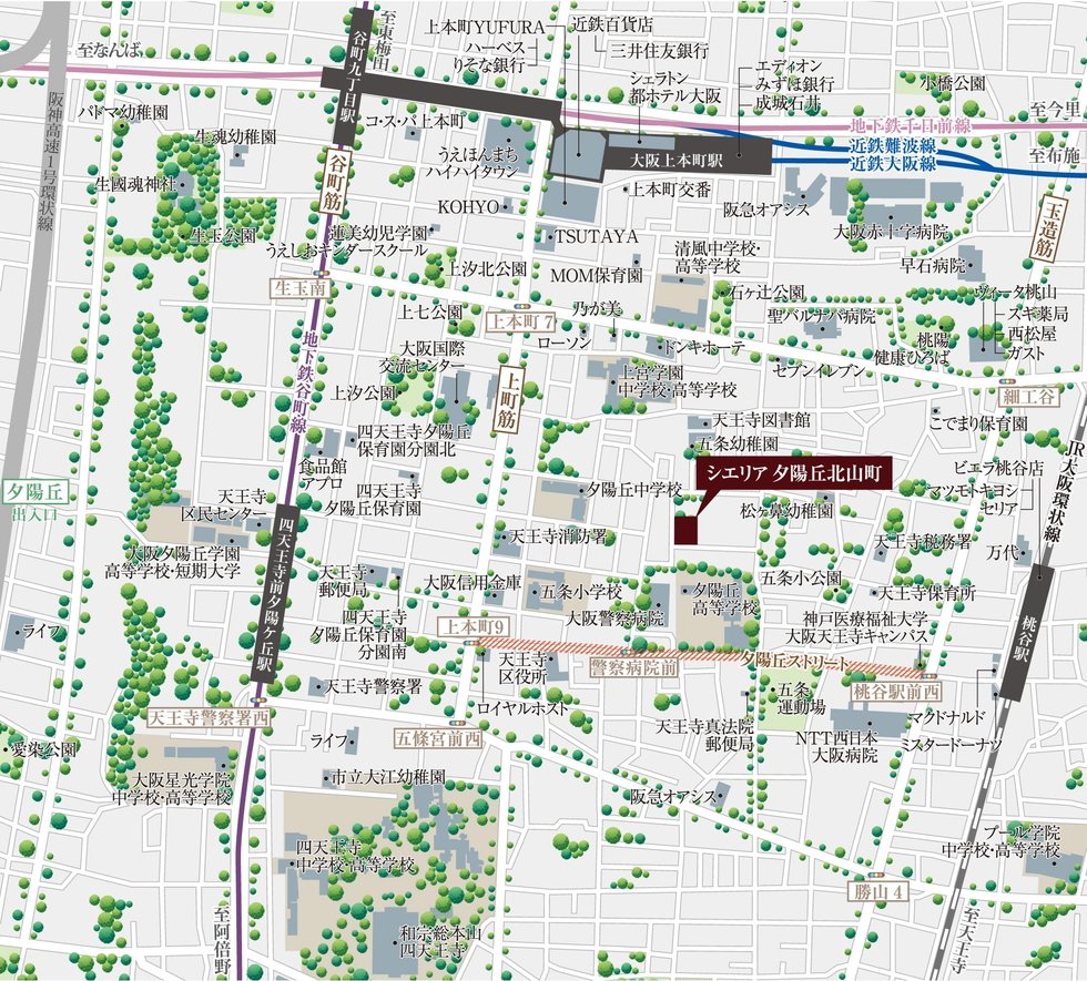 現地案内図